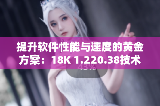 提升软件性能与速度的黄金方案：18K 1.220.38技术实践指南