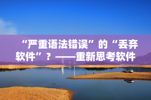 “严重语法错误”的“丢弃软件”？——重新思考软件设计和测试