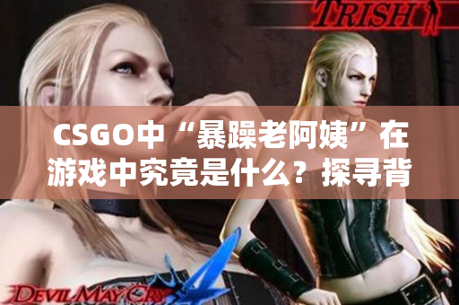 CSGO中“暴躁老阿姨”在游戏中究竟是什么？探寻背后的软件技术问题