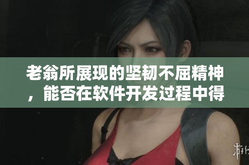 老翁所展现的坚韧不屈精神，能否在软件开发过程中得到应用？