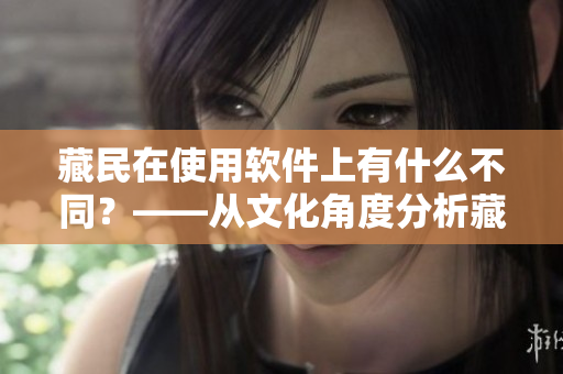 藏民在使用软件上有什么不同？——从文化角度分析藏族电脑使用习惯