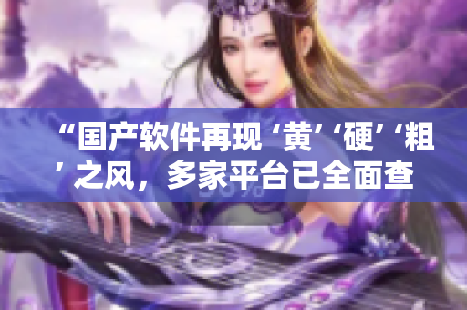 “国产软件再现 ‘黄’ ‘硬’ ‘粗’ 之风，多家平台已全面查处”