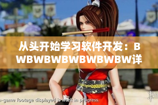 从头开始学习软件开发：BWBWBWBWBWBWBW详细分析与学习指南