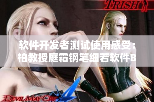 软件开发者测试使用感受：柏教授庭霜钢笔细若软件BUG？