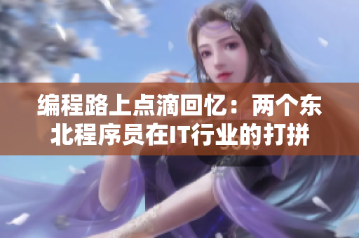 编程路上点滴回忆：两个东北程序员在IT行业的打拼