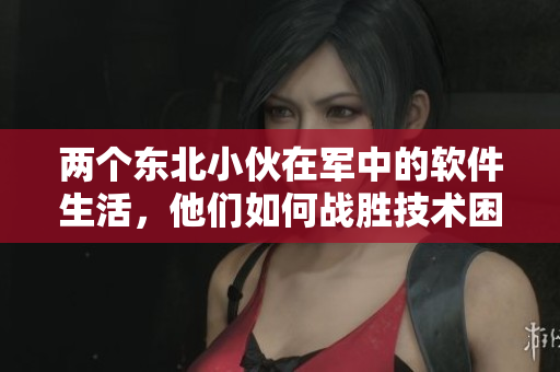 两个东北小伙在军中的软件生活，他们如何战胜技术困难？