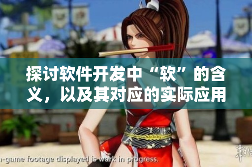 探讨软件开发中“软”的含义，以及其对应的实际应用及价值