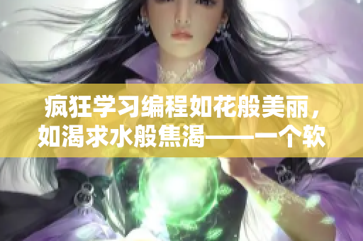 疯狂学习编程如花般美丽，如渴求水般焦渴——一个软件工程师的心路历程