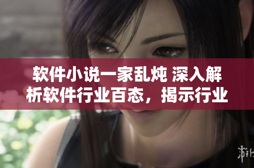 软件小说一家乱炖 深入解析软件行业百态，揭示行业隐情