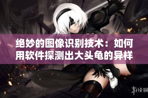 绝妙的图像识别技术：如何用软件探测出大头龟的异样之处