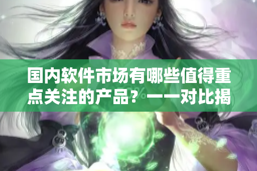 国内软件市场有哪些值得重点关注的产品？一一对比揭秘！