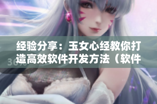 经验分享：玉女心经教你打造高效软件开发方法（软件开发必读）