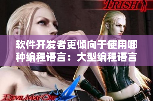 软件开发者更倾向于使用哪种编程语言：大型编程语言或小型编程语言？