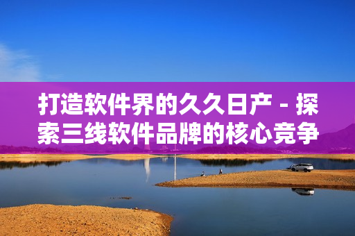 打造软件界的久久日产 - 探索三线软件品牌的核心竞争力