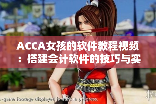 ACCA女孩的软件教程视频：搭建会计软件的技巧与实战