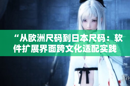 “从欧洲尺码到日本尺码：软件扩展界面跨文化适配实践”