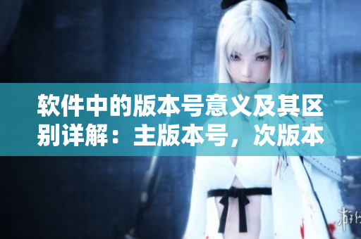 软件中的版本号意义及其区别详解：主版本号，次版本号，修订号