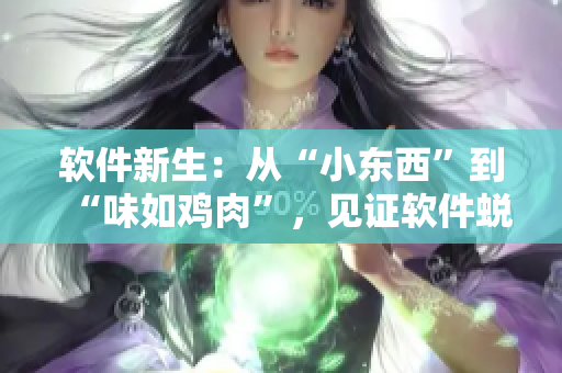 软件新生：从“小东西”到“味如鸡肉”，见证软件蜕变之路