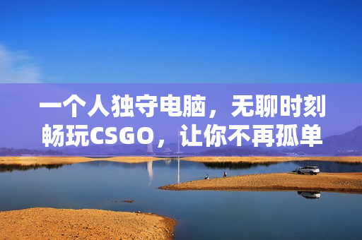 一个人独守电脑，无聊时刻畅玩CSGO，让你不再孤单