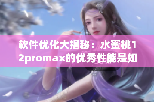 软件优化大揭秘：水蜜桃12promax的优秀性能是如何实现的