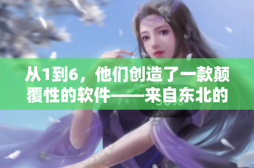 从1到6，他们创造了一款颠覆性的软件——来自东北的创新之路