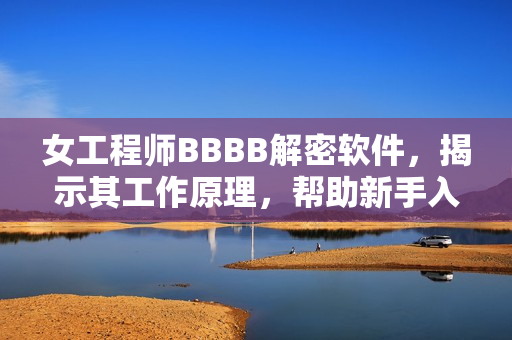 女工程师BBBB解密软件，揭示其工作原理，帮助新手入门