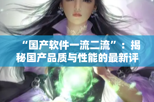 “国产软件一流二流”：揭秘国产品质与性能的最新评测