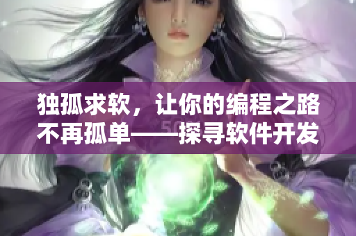 独孤求软，让你的编程之路不再孤单——探寻软件开发中的乐趣