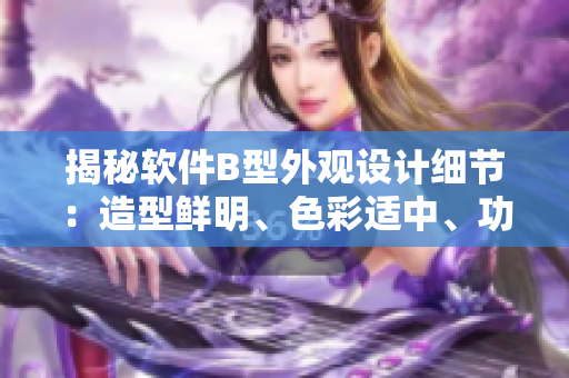 揭秘软件B型外观设计细节：造型鲜明、色彩适中、功能实用