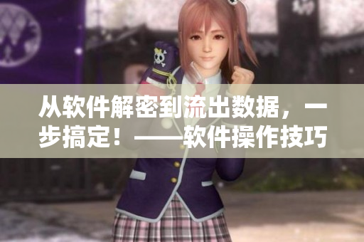 从软件解密到流出数据，一步搞定！——软件操作技巧详解