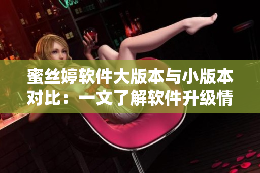蜜丝婷软件大版本与小版本对比：一文了解软件升级情况