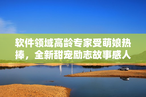 软件领域高龄专家受萌娘热捧，全新甜宠励志故事感人至深