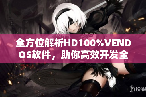 全方位解析HD100%VENDOS软件，助你高效开发全栈项目