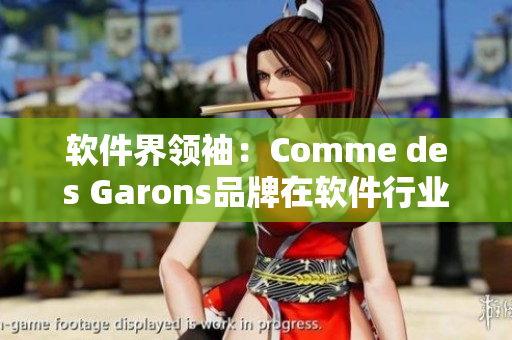 软件界领袖：Comme des Garons品牌在软件行业的成功策略