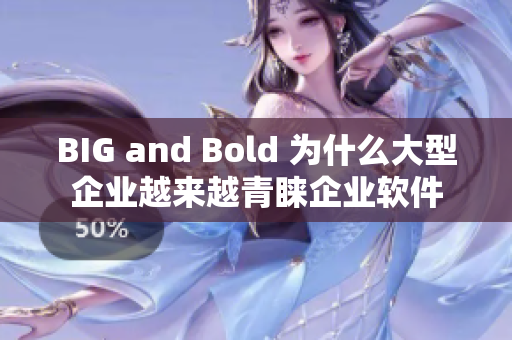 BIG and Bold 为什么大型企业越来越青睐企业软件