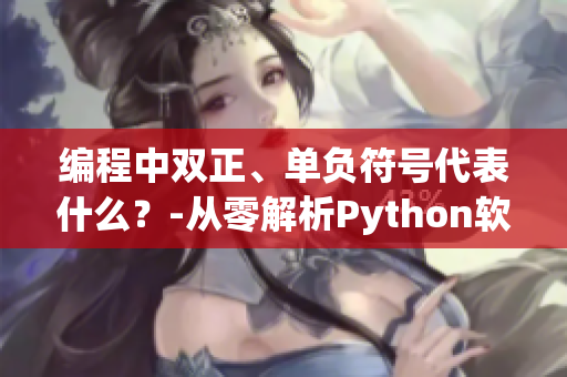 编程中双正、单负符号代表什么？-从零解析Python软件功能