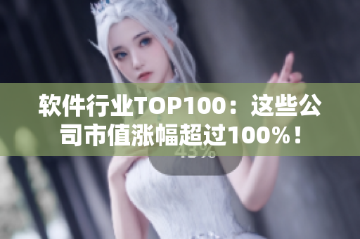 软件行业TOP100：这些公司市值涨幅超过100%！