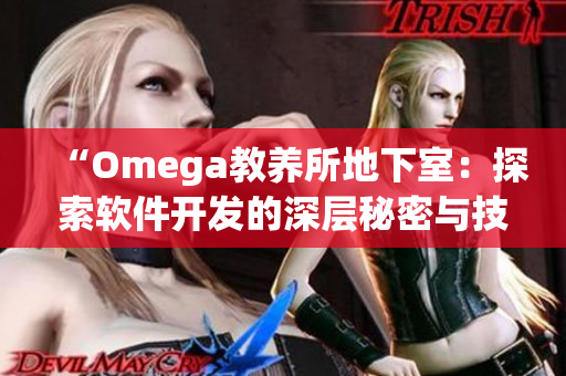 “Omega教养所地下室：探索软件开发的深层秘密与技巧”