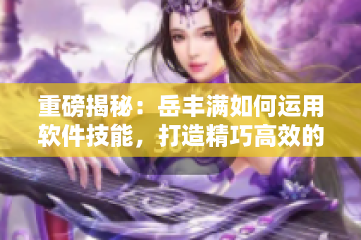 重磅揭秘：岳丰满如何运用软件技能，打造精巧高效的大型项目！