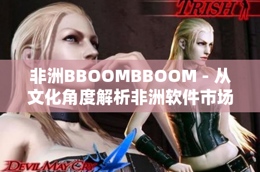 非洲BBOOMBBOOM - 从文化角度解析非洲软件市场